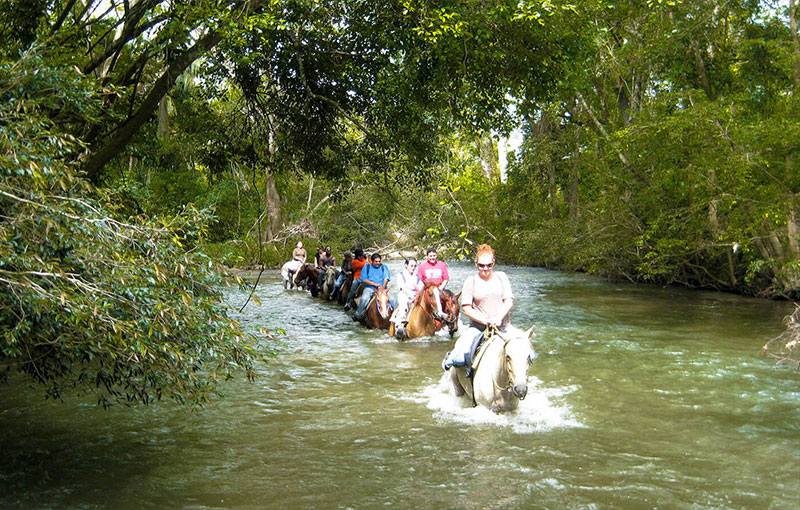Belize Tours - Horseback